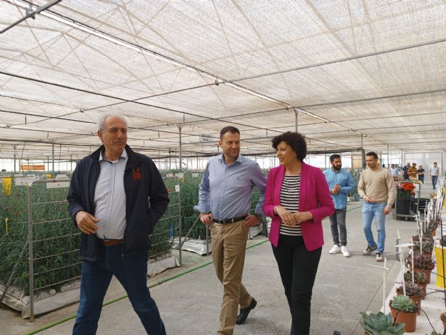 El director general del Agua y la alcaldesa de Puerto Lumbreras visitan la empresa Dümmen Orange - 2, Foto 2