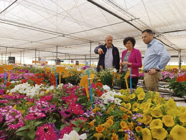 El director general del Agua y la alcaldesa de Puerto Lumbreras visitan la empresa Dümmen Orange - 3, Foto 3