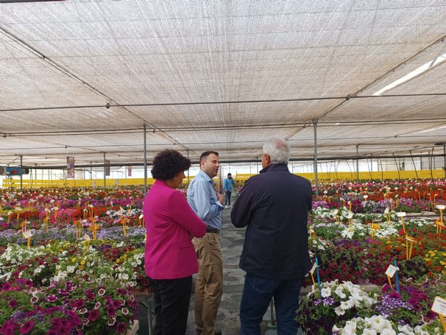 El director general del Agua y la alcaldesa de Puerto Lumbreras visitan la empresa Dümmen Orange - 4, Foto 4
