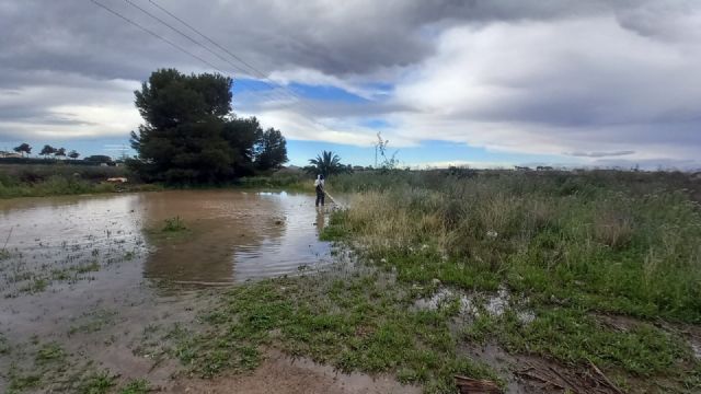 San Pedro del Pinatar refuerza los trabajos de control de mosquitos debido a las lluvias - 2, Foto 2