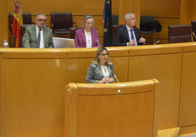 Política Social reclama al Gobierno central que cumpla su compromiso de financiar el 50 por ciento del sistema de dependencia - 2, Foto 2