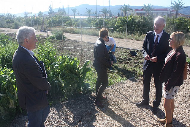 44 familias disfrutan del Huerto de Ocio de Aljucer - 1, Foto 1