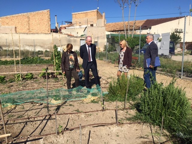 44 familias disfrutan del Huerto de Ocio de Aljucer - 2, Foto 2