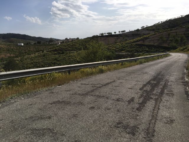 El PSOE pide el arreglo urgente de la carretera de acceso a Campo López - 4, Foto 4