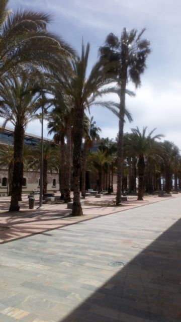 El PCAN denuncia que el traslado del Submarino `Tonina´ a la plaza del CIM sigue sin proyecto - 4, Foto 4