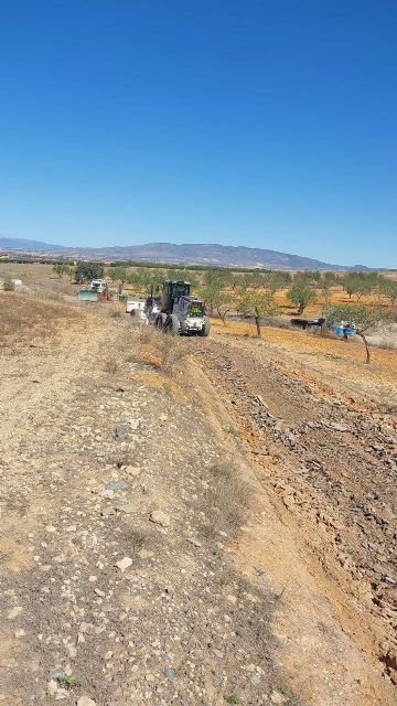Las obras de acondicionamiento del camino de Los Méndez, en La Manchica, se ponen en marcha gracias a la presión ejercida por MC - 1, Foto 1
