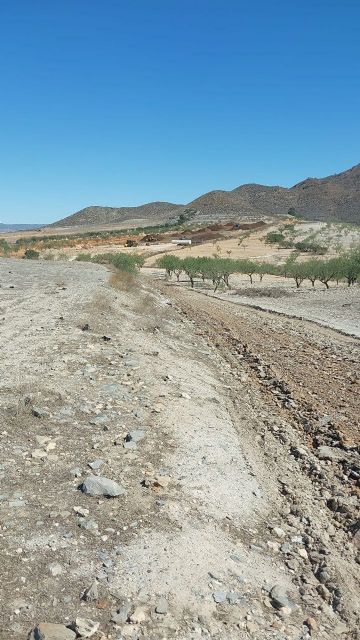 Las obras de acondicionamiento del camino de Los Méndez, en La Manchica, se ponen en marcha gracias a la presión ejercida por MC - 2, Foto 2