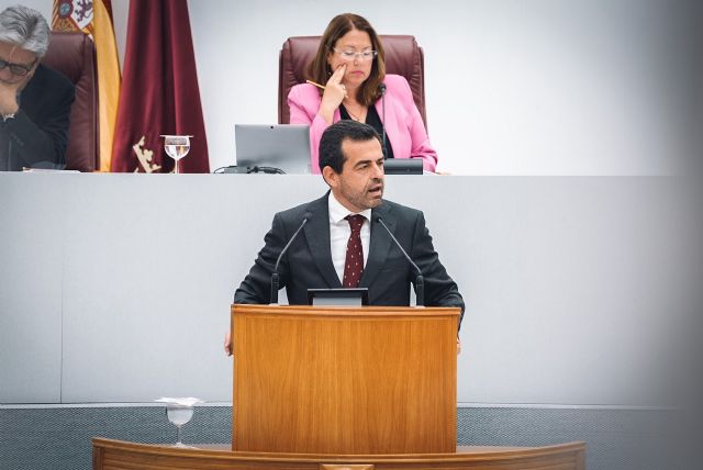 VOX saca adelante la moción en la que pide crear una Comisión Especial de Estudio de la Seguridad Ciudadana en la Región de Murcia - 1, Foto 1