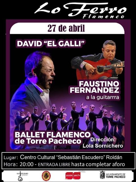 El Ballet Flamenco de Torre Pacheco debuta en el Teatro Sebastián Escudero - 1, Foto 1