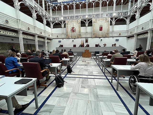 El Pleno de la Asamblea Regional aprueba una Declaracin Institucional con motivo del Da Mundial del Lupus, Foto 1