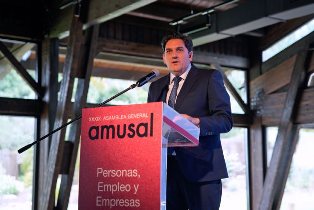 Amusal pide una ley adaptada al presente para un sector que crece y se erige como modelo económico estable y competitivo - 2, Foto 2