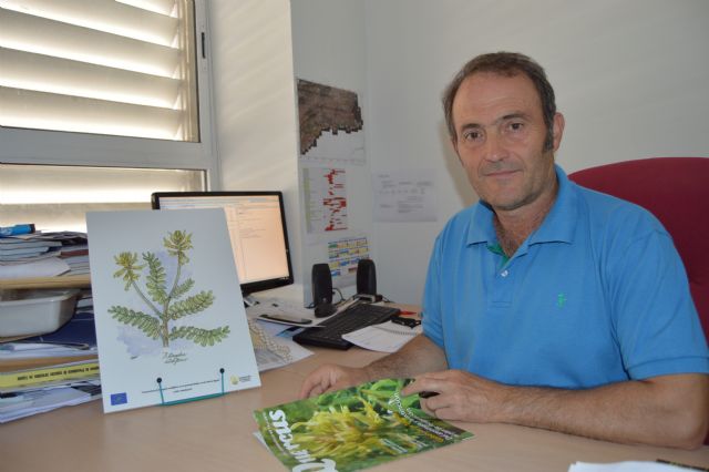 Investigadores de la UPCT evitan la extinción del Garbancillo de Tallante a corto y medio plazo - 3, Foto 3