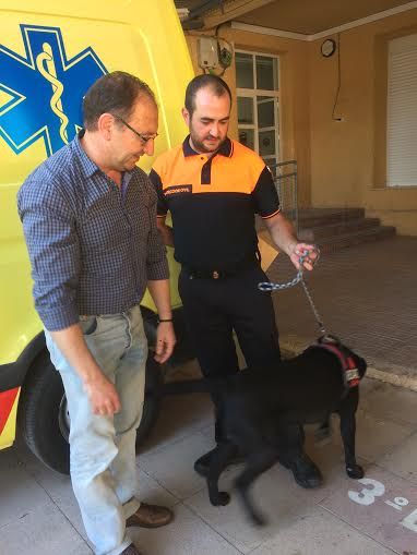 Protección Civil de Totana cuenta ya con una nueva Unidad Canina - 4, Foto 4