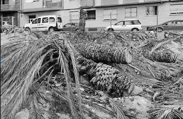 Mucho Más Mayo presenta sus coproducciones con la plataforma AADK SPAIN con sede en Blanca - 2, Foto 2