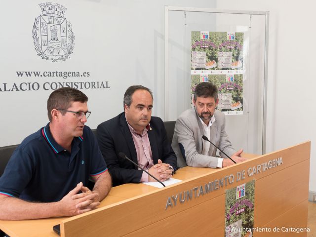 El IX Día de la Patata de La Puebla mostrará la calidad de la patata nueva del Campo de Cartagena - 2, Foto 2