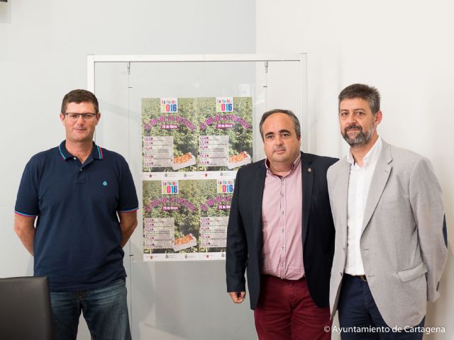 El IX Día de la Patata de La Puebla mostrará la calidad de la patata nueva del Campo de Cartagena - 3, Foto 3