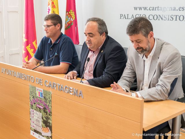 El IX Día de la Patata de La Puebla mostrará la calidad de la patata nueva del Campo de Cartagena - 4, Foto 4