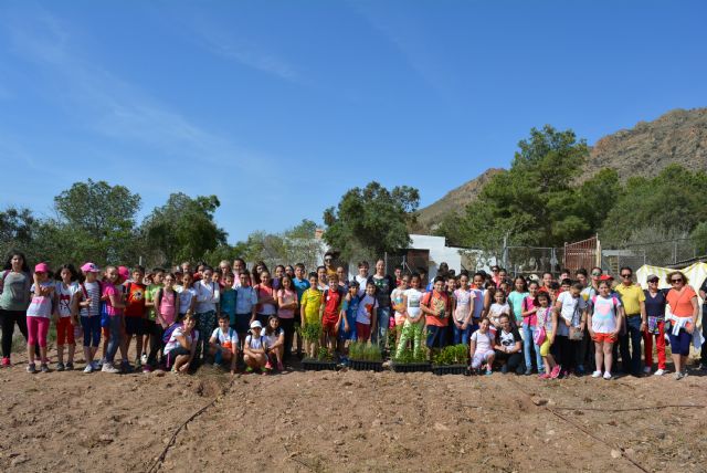 La concejalía de Medio Ambiente organiza una jornada de reforestación con los alumnos del CEIP Mediterráneo - 1, Foto 1