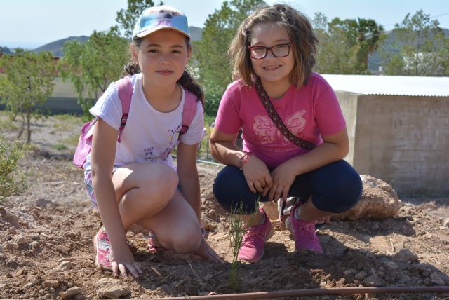 La concejalía de Medio Ambiente organiza una jornada de reforestación con los alumnos del CEIP Mediterráneo - 2, Foto 2
