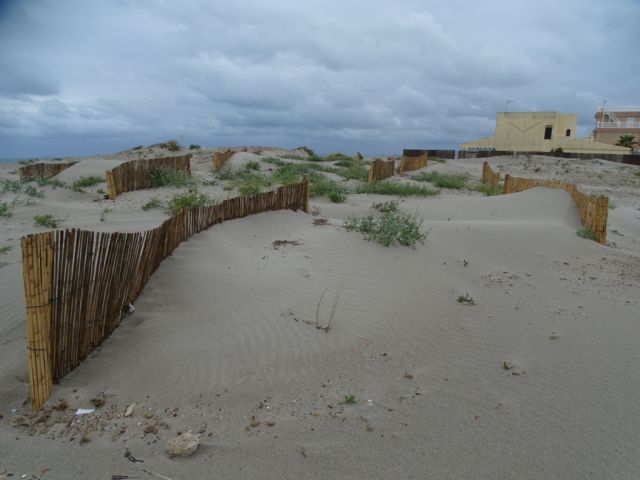 ANSE denuncia daños en los sistemas dunares de La Manga por la extracción de arenas para alimentar playas” - 1, Foto 1