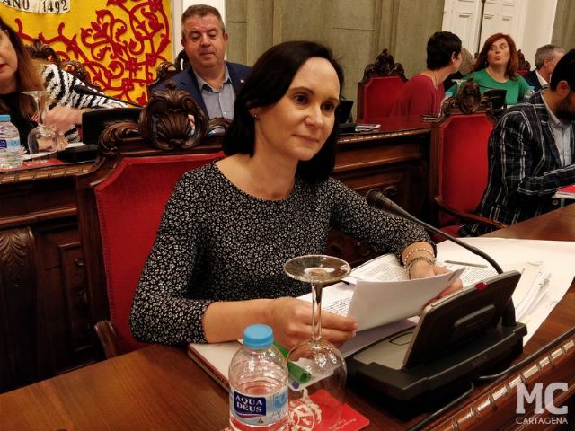 Isabel García censura la incapacidad socialista para convocar el Pleno mensual en tiempo y forma - 1, Foto 1