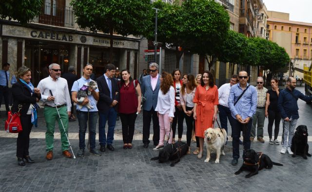 Hostemur se vuelca con los usuarios de perros guía - 2, Foto 2
