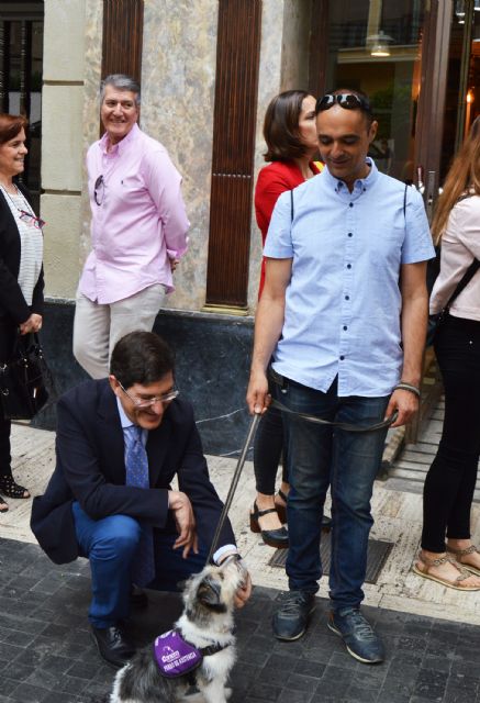 Hostemur se vuelca con los usuarios de perros guía - 3, Foto 3