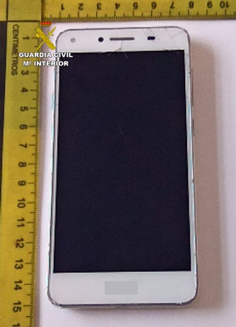 La Guardia Civil investiga a dos jóvenes por el robo en una vivienda de Torre Pacheco - 1, Foto 1