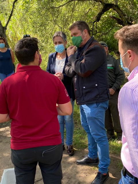 La Reserva Natural de Cañaverosa en Calasparra cuenta con seis nuevos ejemplares de galápagos leprosos - 2, Foto 2