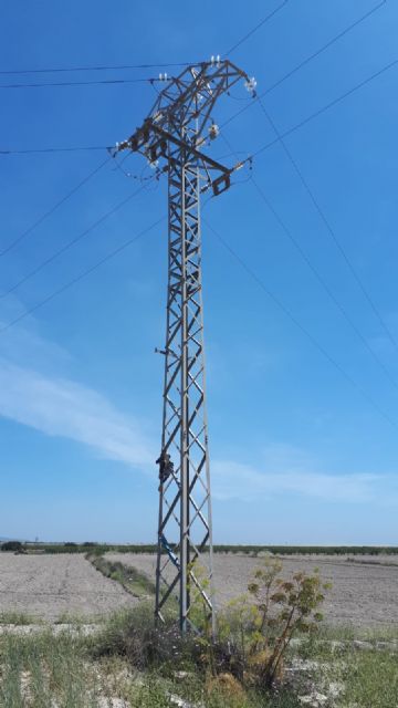 ANSE denuncia a Iberdrola ante la Fiscalía por la muerte de un águila perdicera - 4, Foto 4