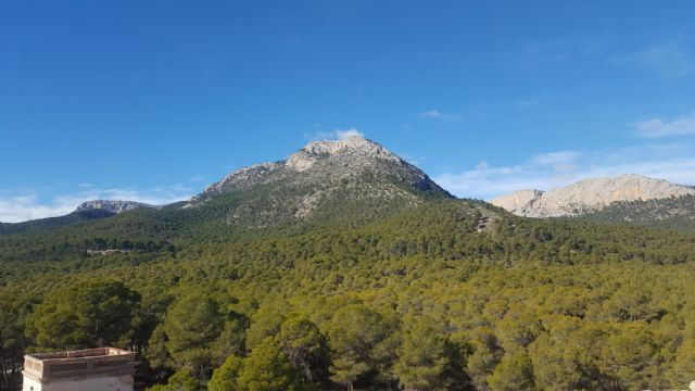 VI Jornada de Convivencia y Difusin. Asociacin de Amigos del Sanatorio-Escuela Hogar de Sierra Espua, Foto 6