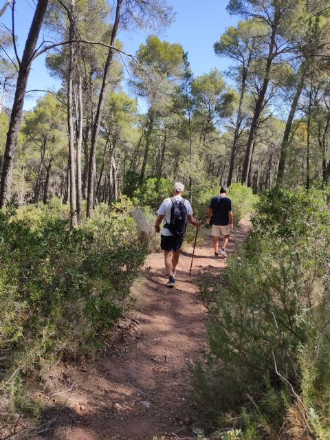 VI Jornada de Convivencia y Difusin. Asociacin de Amigos del Sanatorio-Escuela Hogar de Sierra Espua, Foto 8