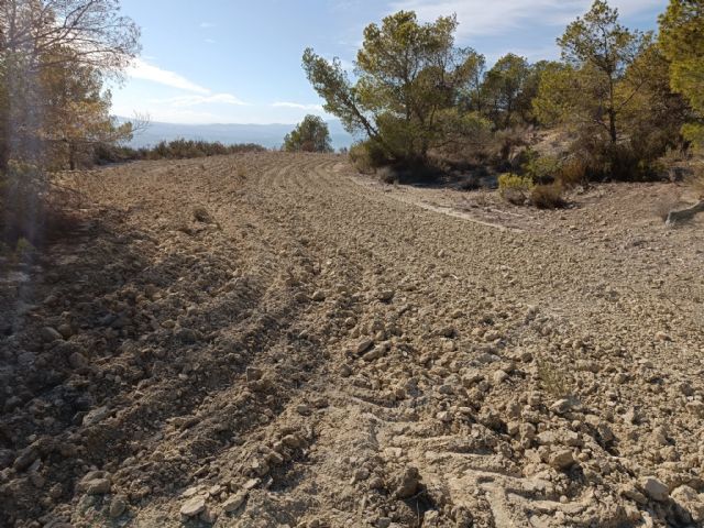 La Comunidad desarrolla un proyecto para la mejora del hábitat en la ZEC y ZEPA de la Sierra de Ricote y La Navela - 1, Foto 1