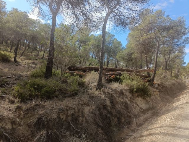 La Comunidad desarrolla un proyecto para la mejora del hábitat en la ZEC y ZEPA de la Sierra de Ricote y La Navela - 2, Foto 2