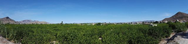 HUERMUR denuncia abundantes vertidos fecales en el agua de riego de la acequia de Zaraiche - 5, Foto 5