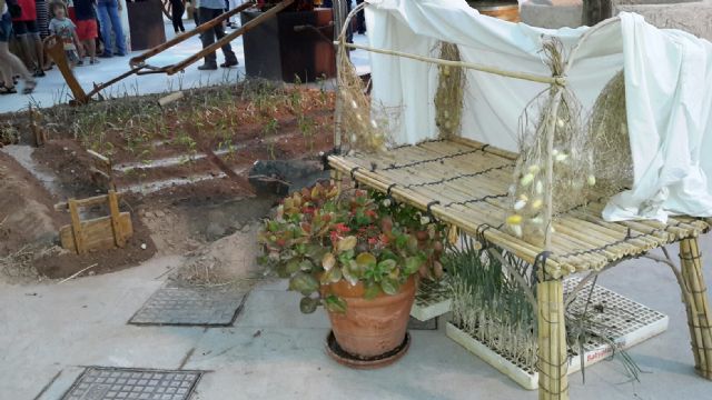 La huerta se traslada a la plaza de España - 5, Foto 5