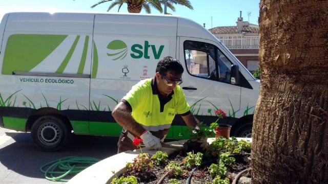 Más de 300 geranios adornarán las zonas verdes y maceteros de Lobosillo - 1, Foto 1
