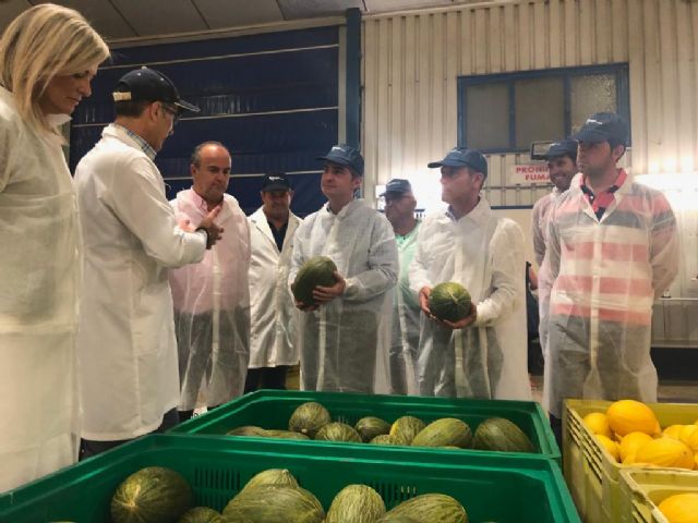 La campaña regional del melón prevé una producción de 208.000 toneladas - 1, Foto 1