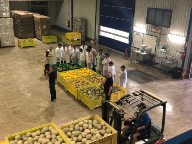 La campaña regional del melón prevé una producción de 208.000 toneladas - 2, Foto 2