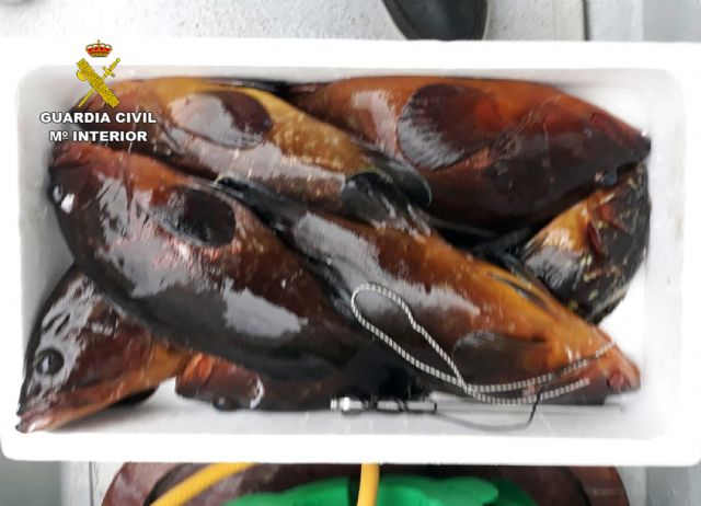 La Guardia Civil detiene in fraganti a dos pescadores furtivos en el espacio natural de Cabo Tiñoso - 1, Foto 1
