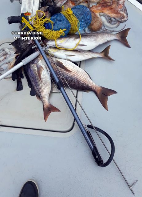 La Guardia Civil detiene in fraganti a dos pescadores furtivos en el espacio natural de Cabo Tiñoso - 3, Foto 3