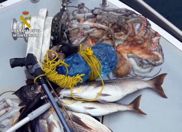 La Guardia Civil detiene in fraganti a dos pescadores furtivos en el espacio natural de Cabo Tiñoso - 5, Foto 5