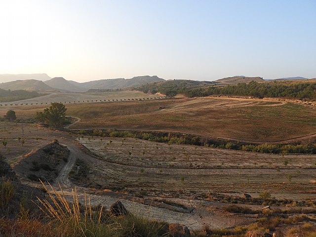 IU-Verdes Lorca denuncia la destrucción del patrimonio natural de las pedanías del norte - 2, Foto 2