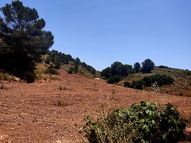 IU-Verdes Lorca denuncia la destrucción del patrimonio natural de las pedanías del norte - 3, Foto 3