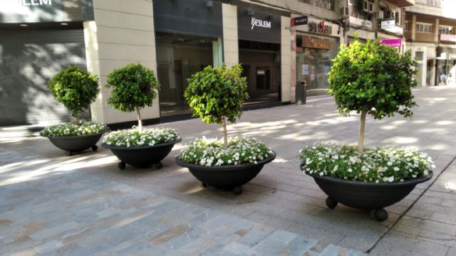 Más de 200 maceteros con 30.000 flores decoran las calles de Murcia - 1, Foto 1