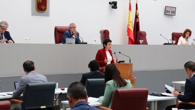 La Asamblea Regional rechaza realizar una declaración institucional de apoyo a las personas LGTBI - 1, Foto 1