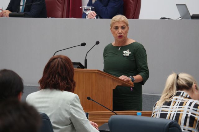 El PSOE consigue sacar adelante en la Asamblea una proposición de ley en favor de los derechos y el reconocimiento de las familias monoparentales - 1, Foto 1