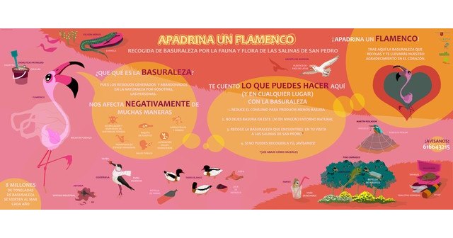 La Asociación Región de Murcia Limpia inicia proyecto “Apadrina un Flamenco” en el Parque Regional de las Salinas de San Pedro del Pinatar - 1, Foto 1