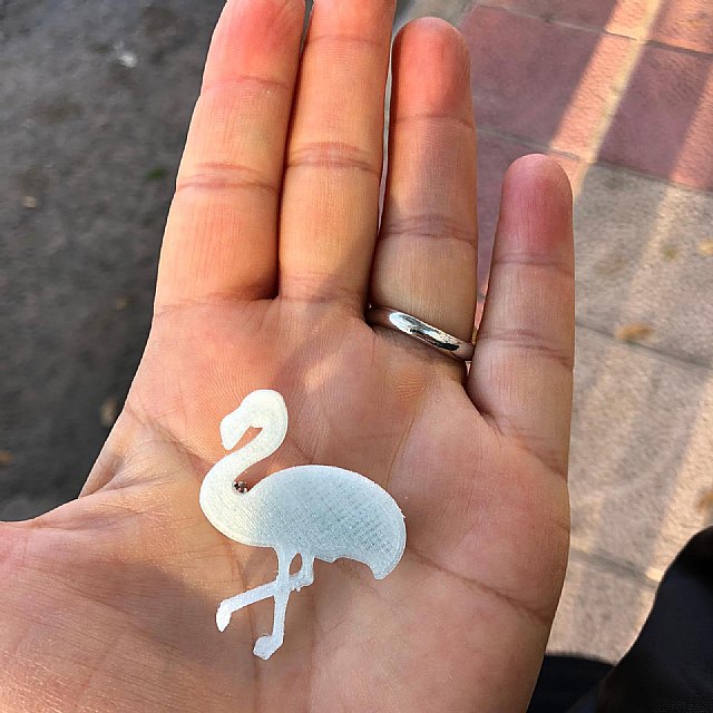 La Asociación Región de Murcia Limpia inicia proyecto “Apadrina un Flamenco” en el Parque Regional de las Salinas de San Pedro del Pinatar - 2, Foto 2