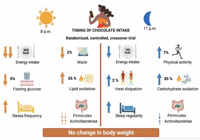 Una ingesta alta de chocolate por la mañana puede ayudar a quemar grasa y reducir los índices de glucemia en mujeres posmenopáusicas - 1, Foto 1